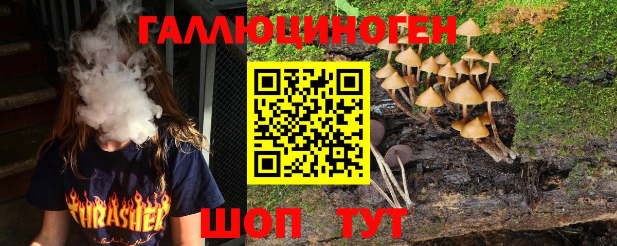 Галлюциногенные грибы Psilocybine cubensis Советск