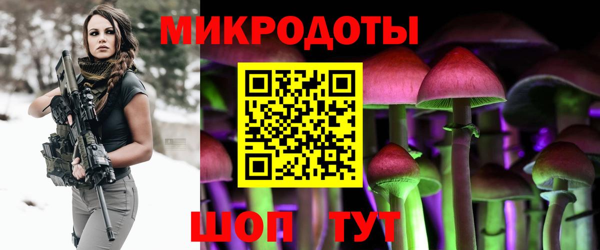 Псилоцибиновые грибы Psilocybine cubensis  Вход с VPN  Советск 